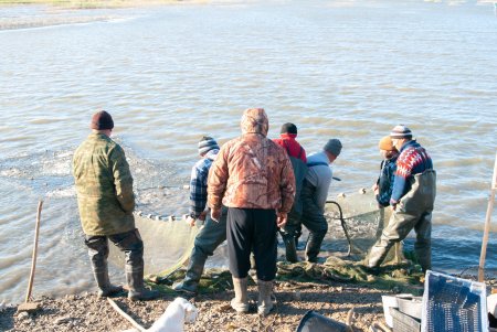 Более пяти тонн малька белого амура, толстолобика и карпа выпустили в озеро Китай (фото)