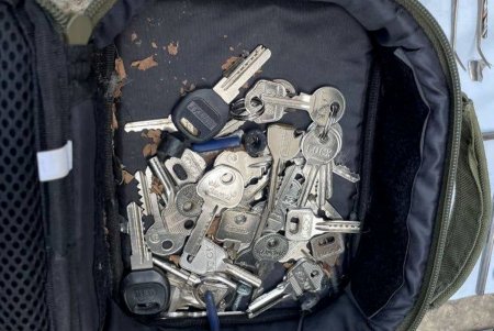 Этническую группировку рецидивистов задержали в момент кражи бытовой техники на промрынке под Одессой (фото)