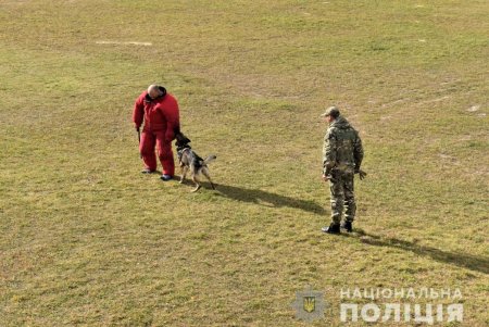 Одесские полицейские заняли второе место на всеукраинском чемпионате Нацполиции по многоборью кинологов (фото)