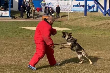 Одесские полицейские заняли второе место на всеукраинском чемпионате Нацполиции по многоборью кинологов (фото)