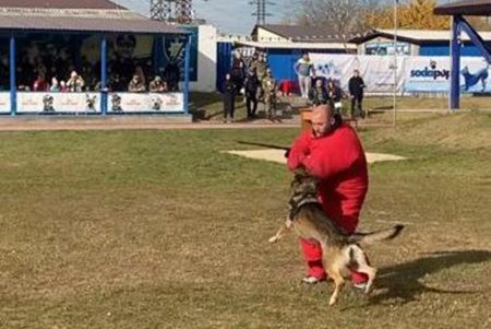 Одесские полицейские заняли второе место на всеукраинском чемпионате Нацполиции по многоборью кинологов (фото)