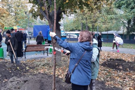 В рамках акции «1000 акаций» в Одессе высадили первые 88 деревьев (фото)