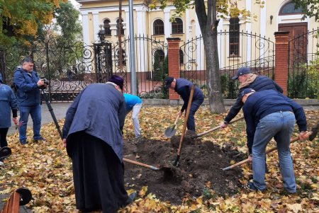 В рамках акции «1000 акаций» в Одессе высадили первые 88 деревьев (фото)
