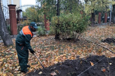 В рамках акции «1000 акаций» в Одессе высадили первые 88 деревьев (фото)