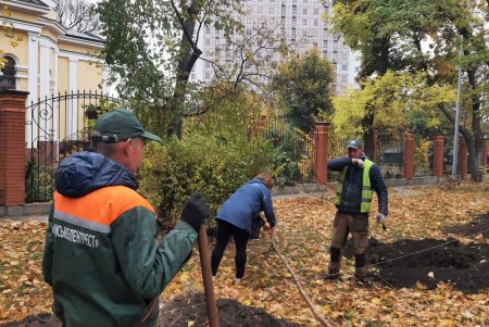 В рамках акции «1000 акаций» в Одессе высадили первые 88 деревьев (фото)
