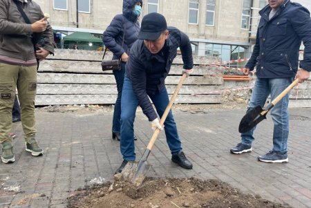 В рамках акции «1000 акаций» в Одессе высадили первые 88 деревьев (фото)