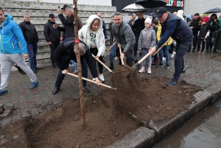 В рамках акции «1000 акаций» в Одессе высадили первые 88 деревьев (фото)