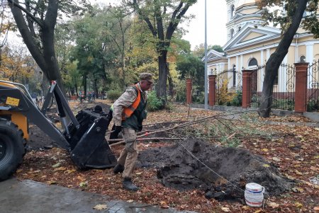 В рамках акции «1000 акаций» в Одессе высадили первые 88 деревьев (фото)