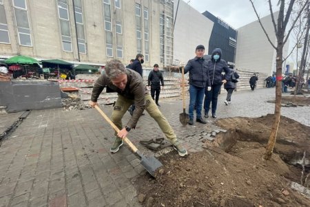 В рамках акции «1000 акаций» в Одессе высадили первые 88 деревьев (фото)