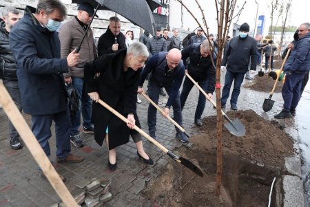 В рамках акции «1000 акаций» в Одессе высадили первые 88 деревьев (фото)