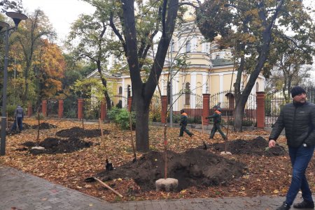 В рамках акции «1000 акаций» в Одессе высадили первые 88 деревьев (фото)