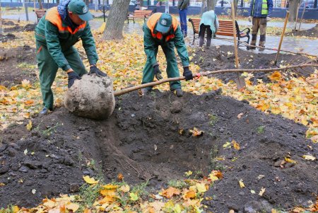 В Одессе стартовала акция «1000 акаций» (фоторепортаж)