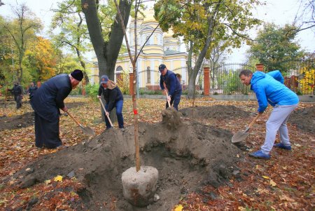 В Одессе стартовала акция «1000 акаций» (фоторепортаж)