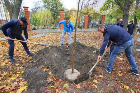 В Одессе стартовала акция «1000 акаций» (фоторепортаж)