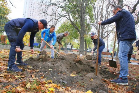 В Одессе стартовала акция «1000 акаций» (фоторепортаж)