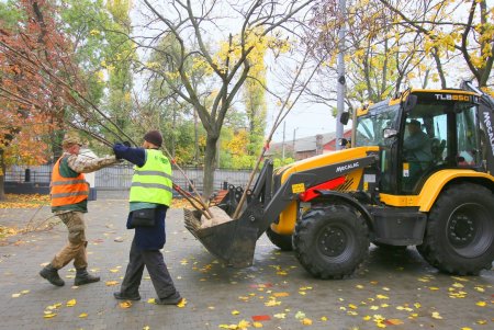 В Одессе стартовала акция «1000 акаций» (фоторепортаж)