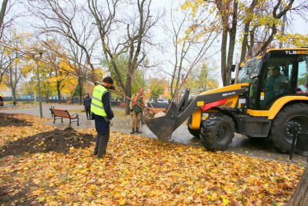 В Одессе стартовала акция «1000 акаций» (фоторепортаж)