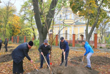 В Одессе стартовала акция «1000 акаций» (фоторепортаж)