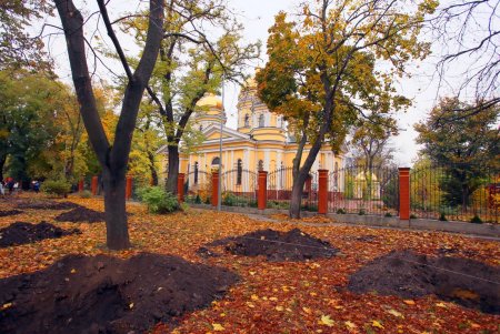 В Одессе стартовала акция «1000 акаций» (фоторепортаж)