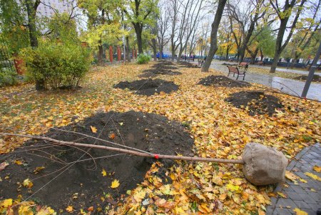 В Одессе стартовала акция «1000 акаций» (фоторепортаж)