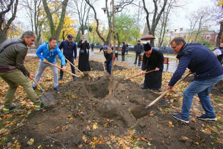 В Одессе стартовала акция «1000 акаций» (фоторепортаж)