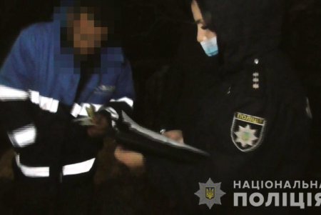 Шестеро нарушителей незаконно спиливали деревья в лесах Подольского района (фото, видео)