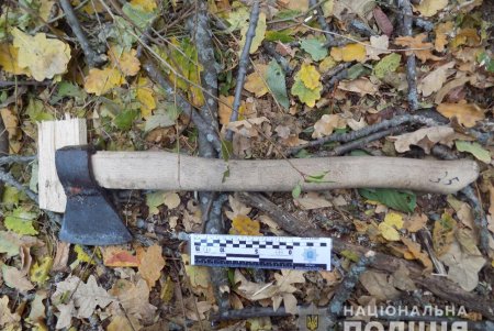 Шестеро нарушителей незаконно спиливали деревья в лесах Подольского района (фото, видео)