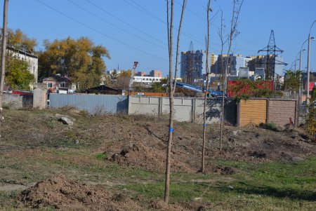 Акция «1000 акаций»: коммунальщики и неравнодушные горожане высадили еще 37 саженцев (фото)