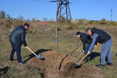 Акция «1000 акаций»: коммунальщики и неравнодушные горожане высадили еще 37 саженцев (фото)