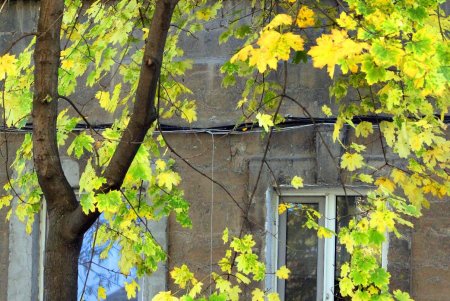 Косвенная: старинные дома, колоритный рынок и «наступающие» высотки (фоторепортаж)
