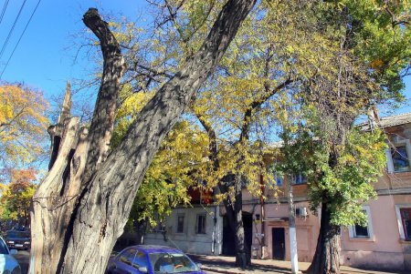 Косвенная: старинные дома, колоритный рынок и «наступающие» высотки (фоторепортаж)
