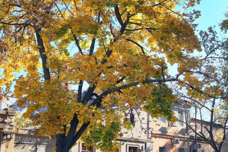 Косвенная: старинные дома, колоритный рынок и «наступающие» высотки (фоторепортаж)
