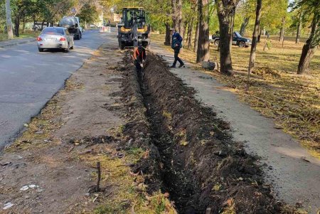 В разных районах города озеленители высаживают клены и тысячи декоративных кустарников (фото)