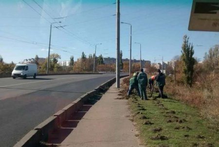 На въездах в Одессу меняют лампы освещения, обрезают деревья и высаживают кустарники (фото)