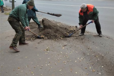  В рамках акции «1000 белых акаций» в субботу одесситы высадили еще 146 деревьев (фото)