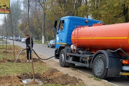  В рамках акции «1000 белых акаций» в субботу одесситы высадили еще 146 деревьев (фото)