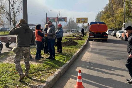  В рамках акции «1000 белых акаций» в субботу одесситы высадили еще 146 деревьев (фото)