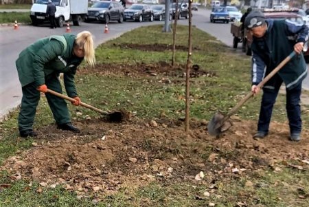  В рамках акции «1000 белых акаций» в субботу одесситы высадили еще 146 деревьев (фото)