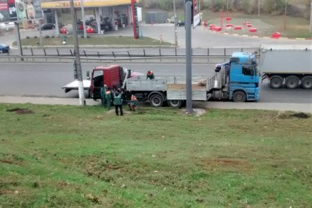  В рамках акции «1000 белых акаций» в субботу одесситы высадили еще 146 деревьев (фото)