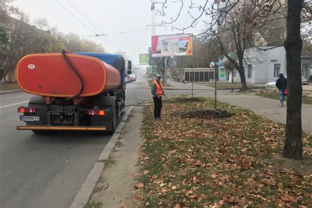  В рамках акции «1000 белых акаций» в субботу одесситы высадили еще 146 деревьев (фото)