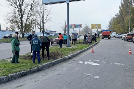  В рамках акции «1000 белых акаций» в субботу одесситы высадили еще 146 деревьев (фото)