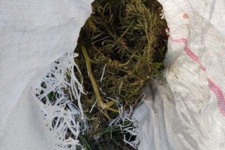 Патрульные на выходных задержали мужчину с мешком конопли и двух нарушителей со свертками наркотиков (фото)