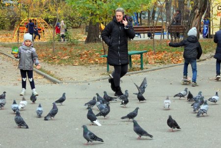 Тихое очарование Михайловской площади (фоторепортаж)