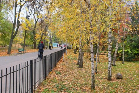 Тихое очарование Михайловской площади (фоторепортаж)