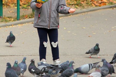 Тихое очарование Михайловской площади (фоторепортаж)