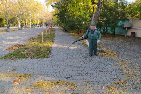 Живую изгородь из кустарников коммунальщики высадили на территории 411-й батареи (фото)
