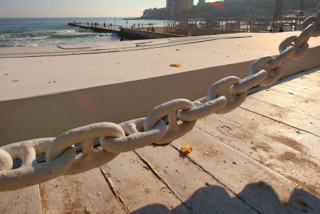 Аркадия ноябрьская: излюбленное место отдыха в любую погоду (фоторепортаж)