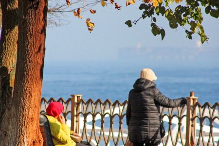 Аркадия ноябрьская: излюбленное место отдыха в любую погоду (фоторепортаж)