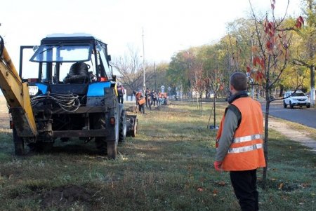Подходы к Белгород-Днестровской крепости украсит аллея павловний (фото)