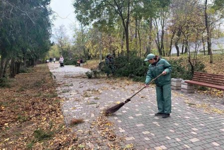 Вдоль парка Шевченко озеленители высадили живую изгородь из кустарников (фото)